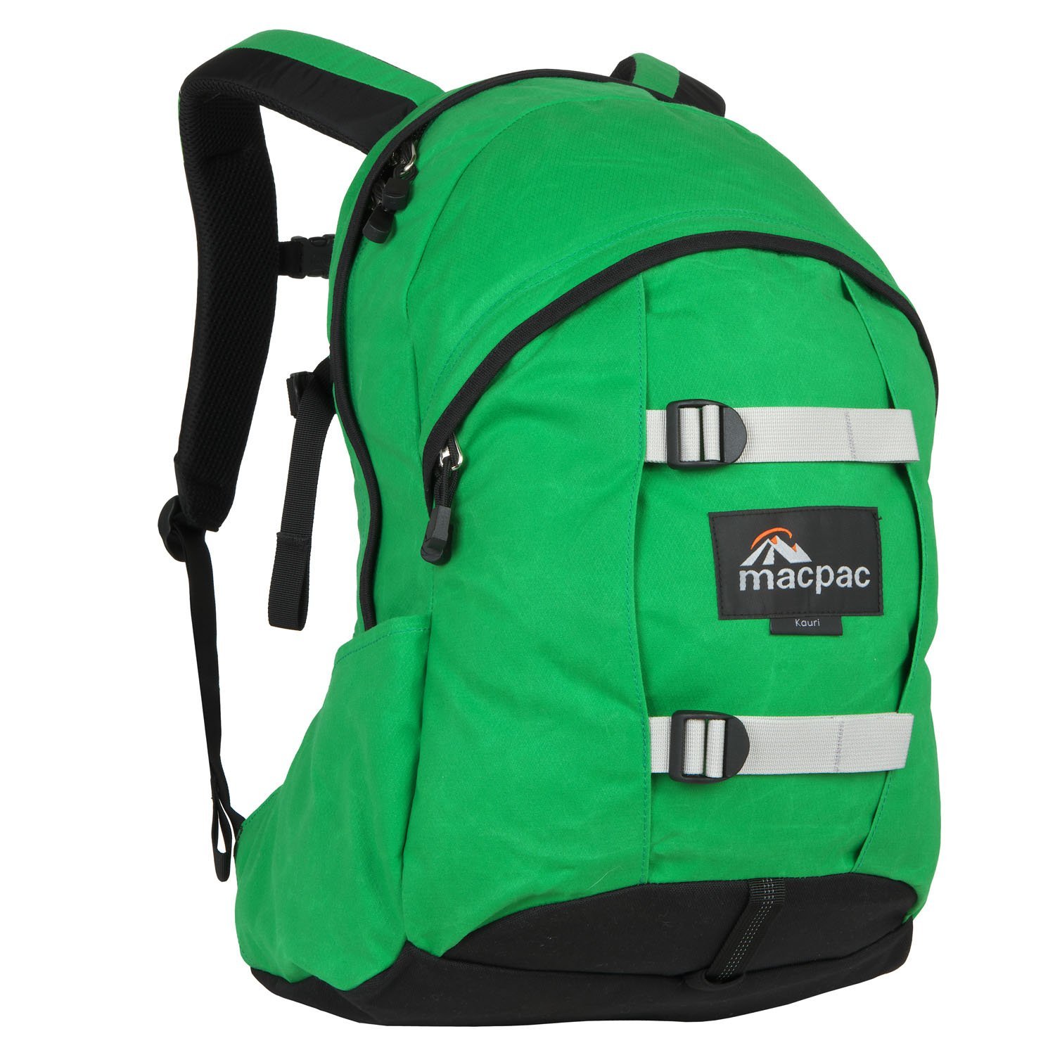 71pasCbMEQL._UL1500_[1]