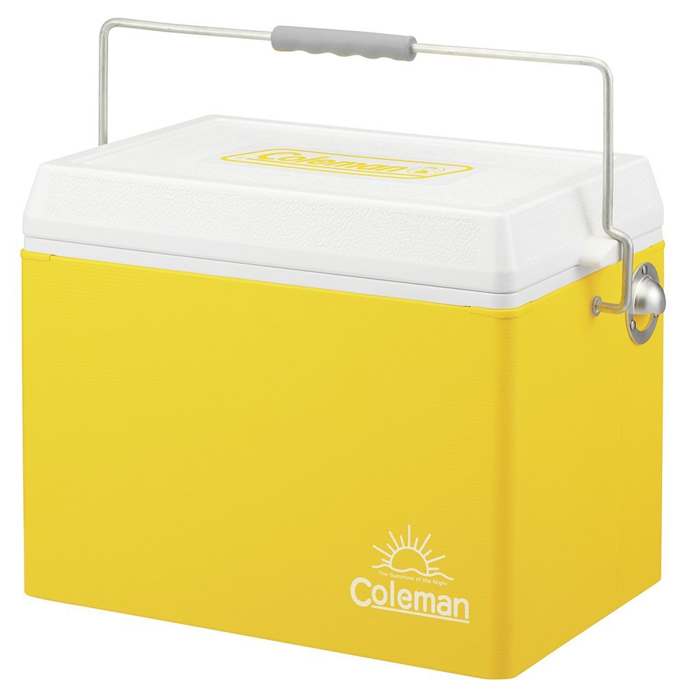 61jzBFDokEL._SL1021_[1]