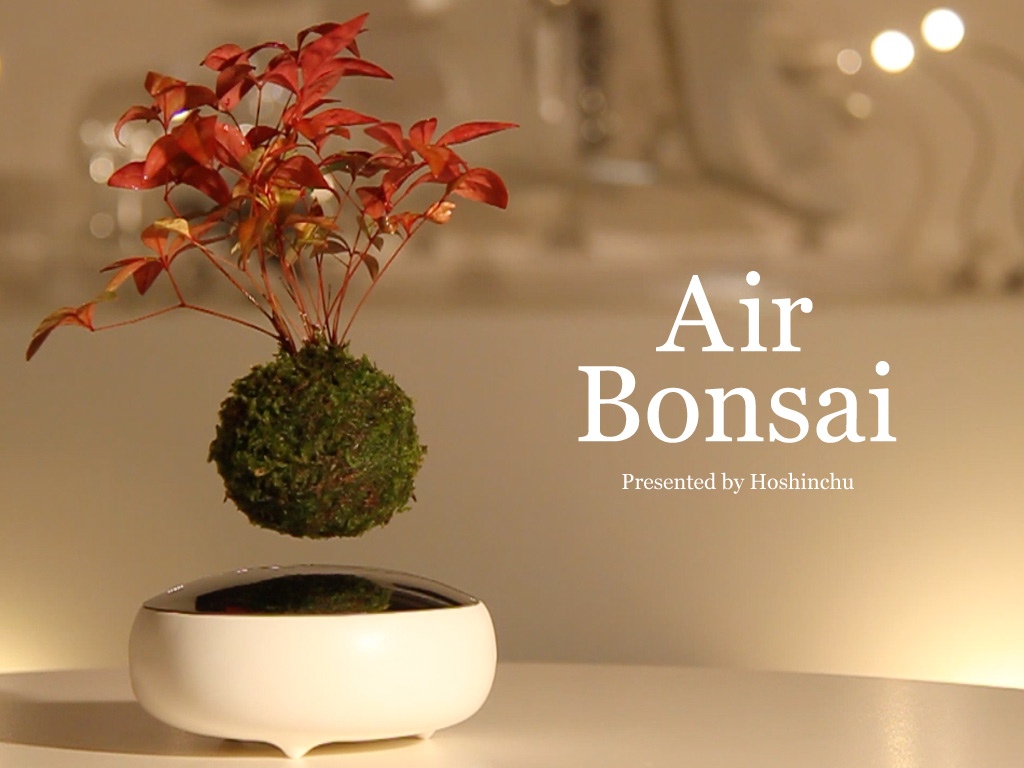 ついにやってくれた！本当に宙に浮遊する空中盆栽「Air Bonsai」が