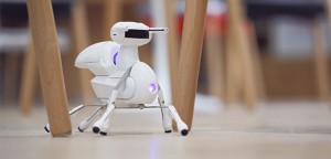 ロボティクスを楽しく遊んで学ぼう！1時間以内に組み立てられる「Antbo」