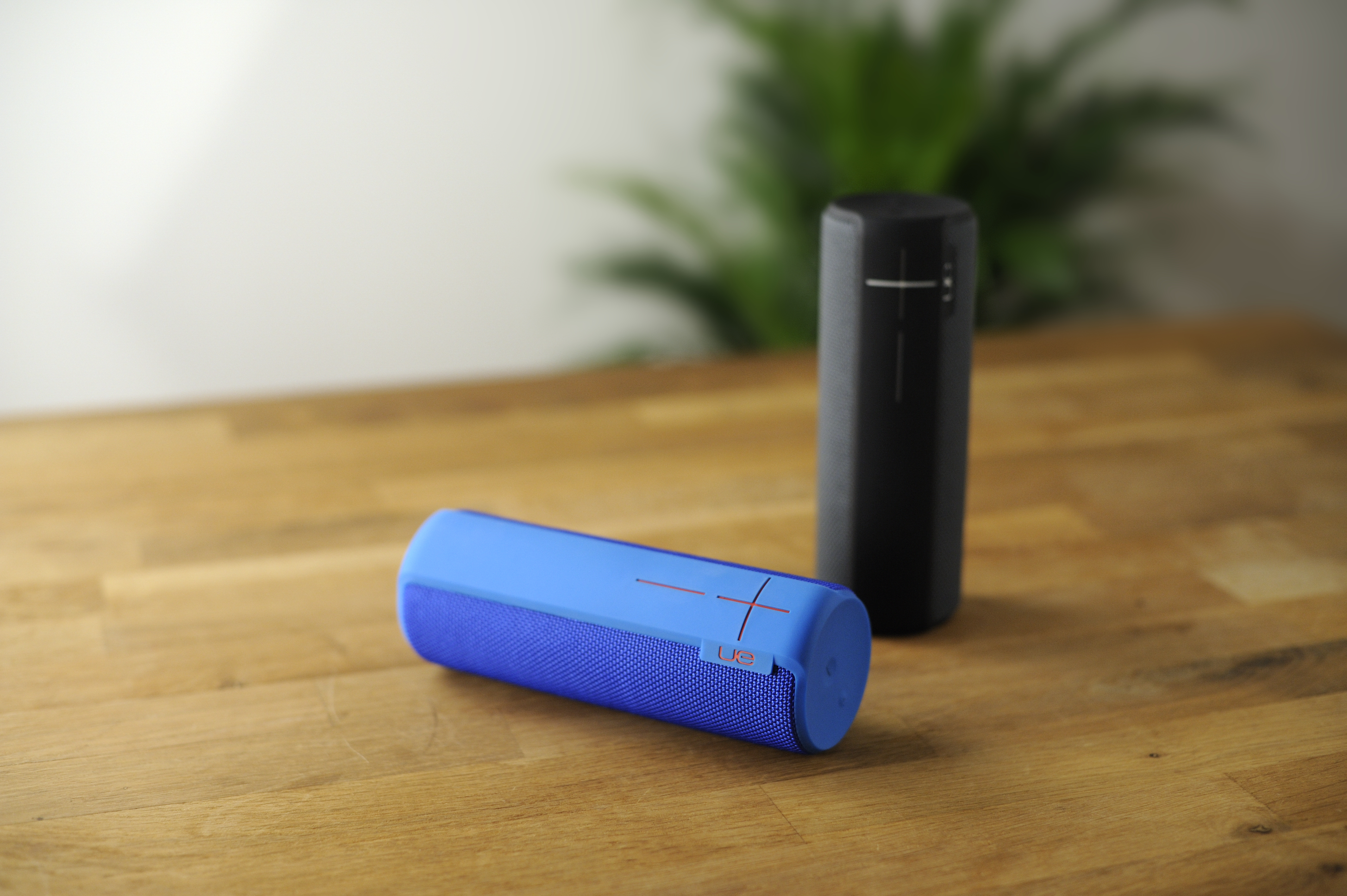 場所を選ばない。世界のミュージシャンが支持するブランドの新世代