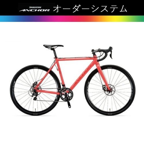 ブリヂストン(BRIDGESTONE) ANCHOR CX6D EQUIPE 2019
