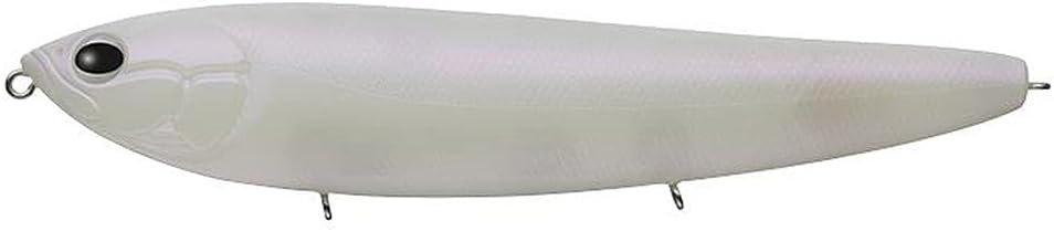 エバーグリーン(EVERGREEN) アマゾン