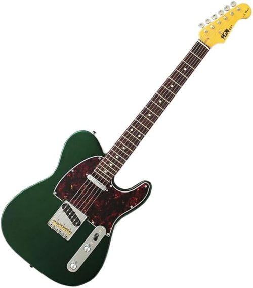 フジゲン(Fujigen) エレキギター NTE100RAL-CAG