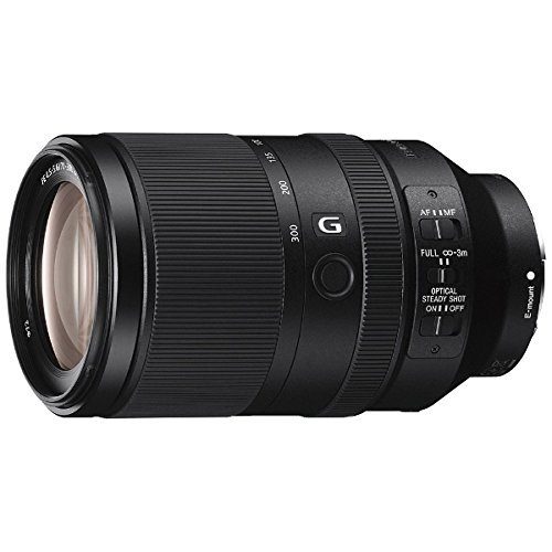 ソニー(SONY) FE 70-300mm F4.5-5.6 G OSS