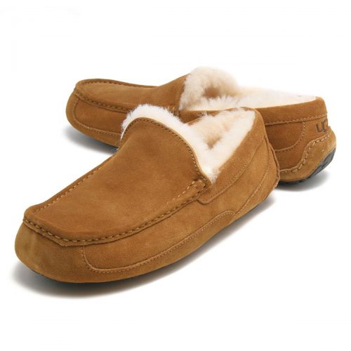 アグ(UGG) ASCOT SUEDE
