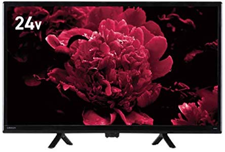 オリオン電機 液晶テレビ OL24WD100