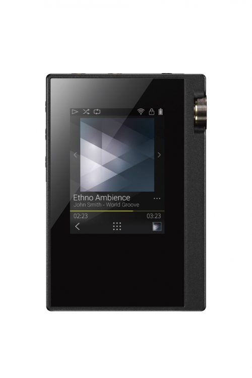 オンキョー(ONKYO) rubato DP-S1