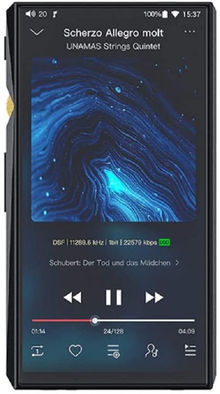 フィーオ(FiiO) デジタルオーディオプレーヤー M11 Pro