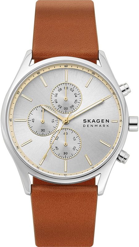 スカーゲン(SKAGEN) HOLST SKW6607