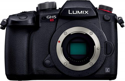 パナソニック(Panasonic) LUMIX GH5S