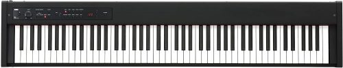 コルグ(KORG) 電子ピアノ D1