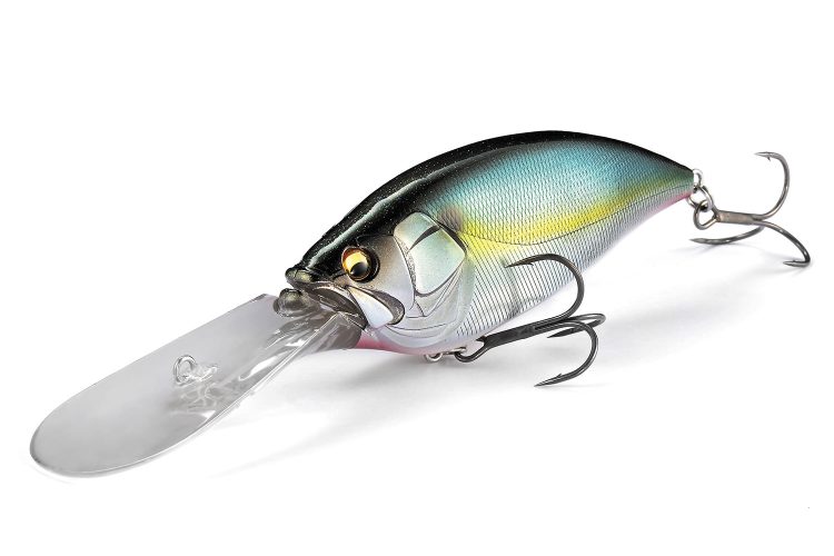 釣りのイメージ