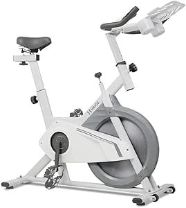 第1位 ハイガー(HAIGE) フィットネスバイク HG-YX-5006S