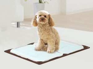 犬用トイレトレーのおすすめ20選。おしゃれなモノもラインナップ