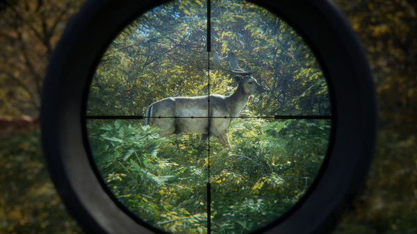 theHunter: Call of the Wild - Expansive Worlds