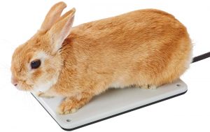うさぎ用ヒーターのおすすめ10選。温度調節できる人気モデルもピックアップ