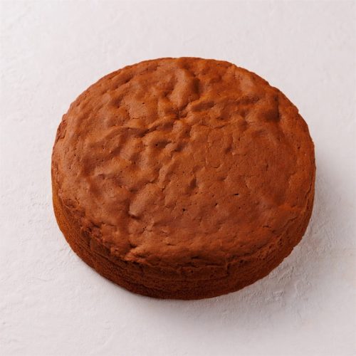 五洋食品産業 スポンジケーキ チョコ