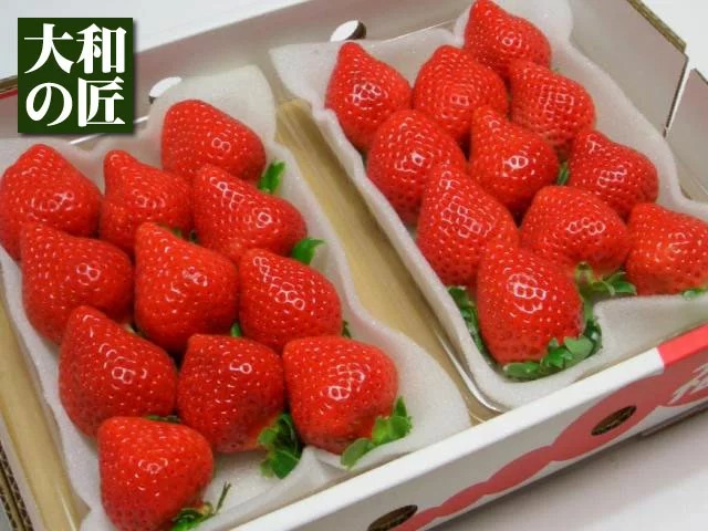 大和の匠 福岡県産博多あまおうDX