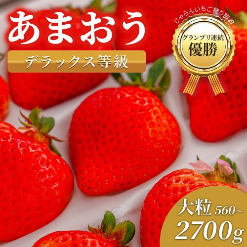 うるう農園 福岡県産 いちご あまおう