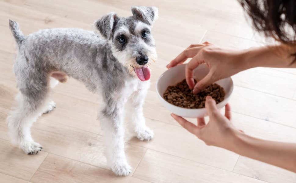 ドッグフードのおすすめランキング26選 愛犬好みのごはんをあげよう ドッグフードのおすすめランキング26選 愛犬好みのごはんをあげよう