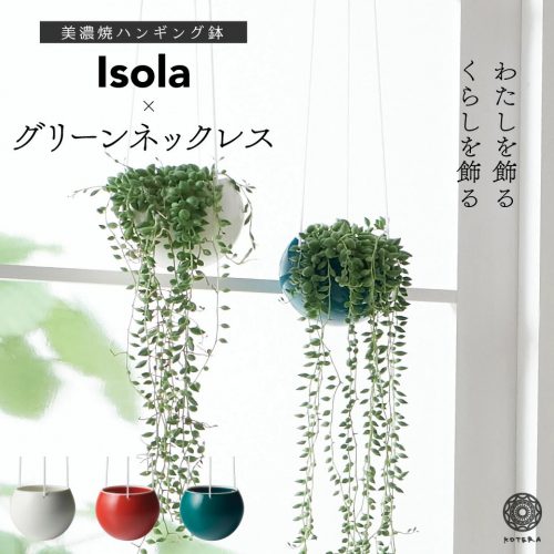 観葉植物のおすすめ18選 育てやすい種類からおしゃれな造花までご紹介