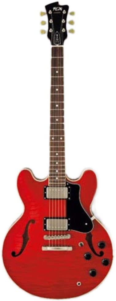 フジゲン(Fujigen) セミアコ Masterfield MSA-HP CH