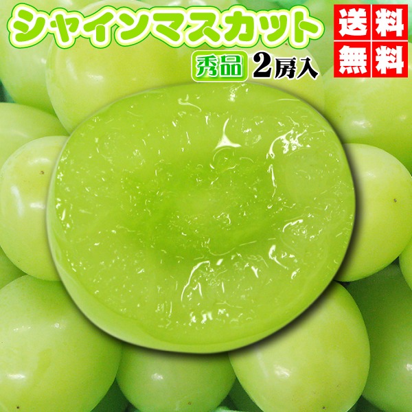 みさき果樹園 大粒シャインマスカット 1.1kg以上 2房入 贈答用・秀品