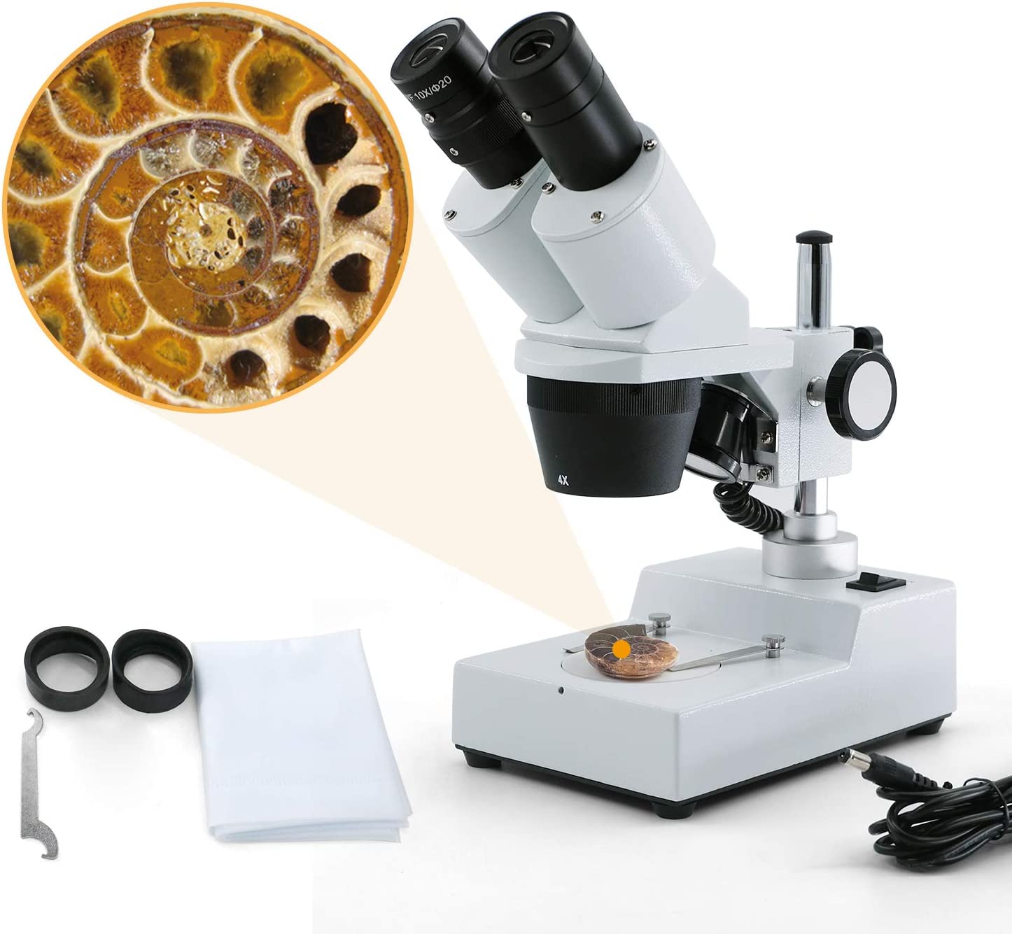 スウィフト(SWIFT) 双眼実体顕微鏡 S304-LED