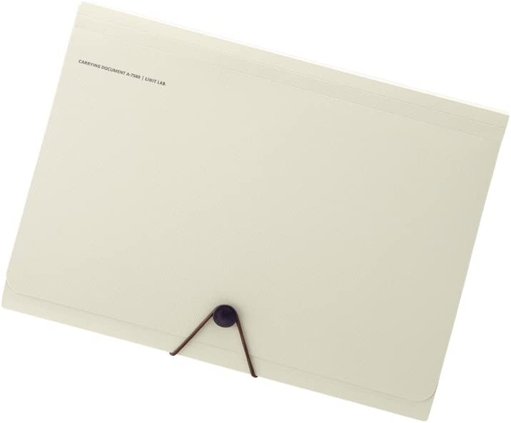 リヒトラブ(LIHIT LAB.) SMART FIT キャリングドキュメント A-7589