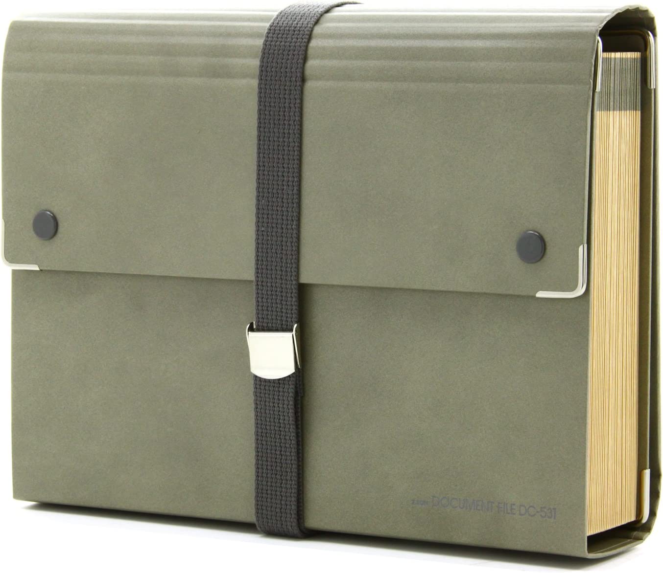 ライオン事務器(LION OFFICE PRODUCTS CORP.) ドキュメントファイル DC-531