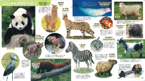 動物図鑑のおすすめ15選。子供向けから大人向けまで幅広くご紹介