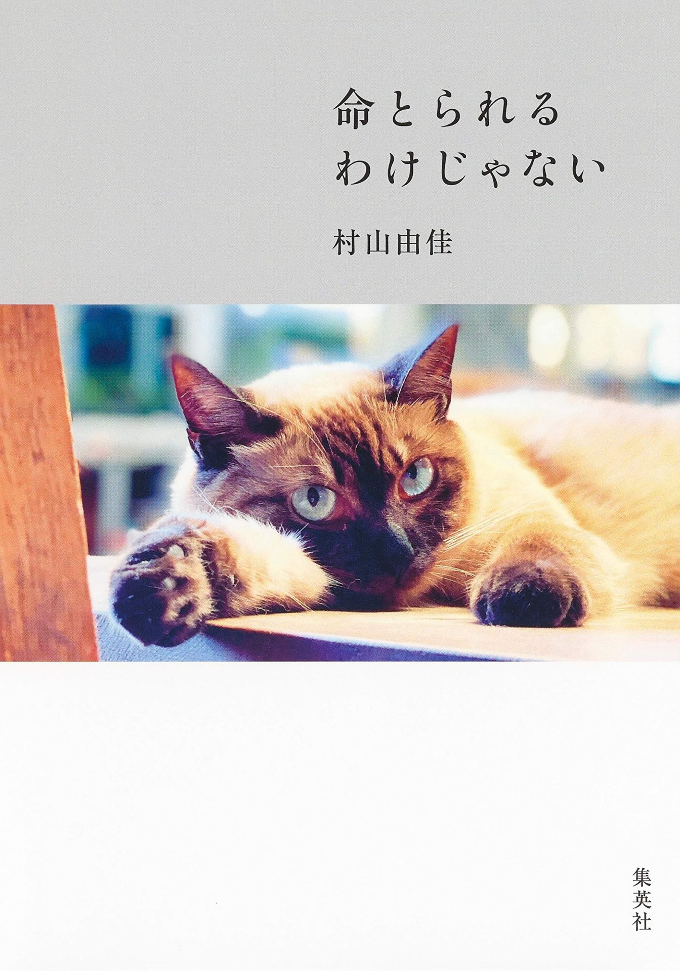 命とられるわけじゃない