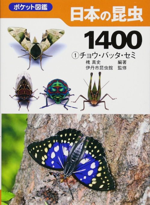 昆虫図鑑のおすすめ17選 子供から大人まで楽しめるモノをご紹介