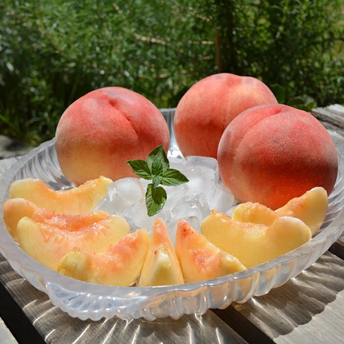 長野県豊丘村 もも あかつき 10~18玉 15,000円