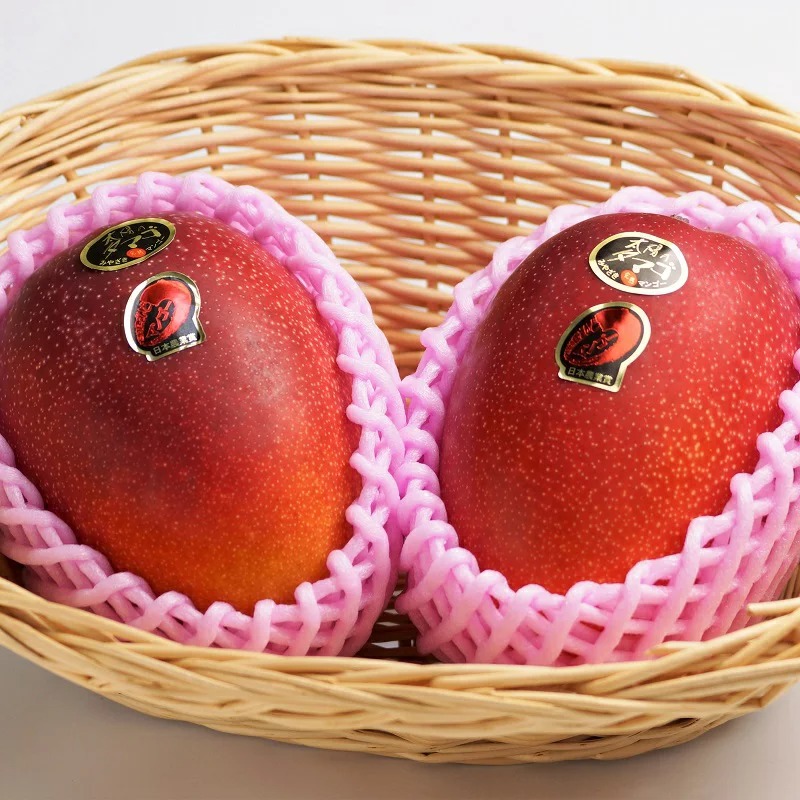 宮崎県西都市 太陽のタマゴ 西都産完熟マンゴー 約1kg 30,000円