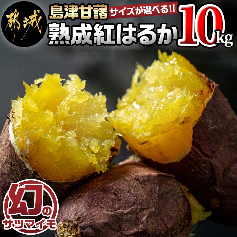 宮崎県都城市 島津甘藷 熟成紅はるか 10kg 10,000円