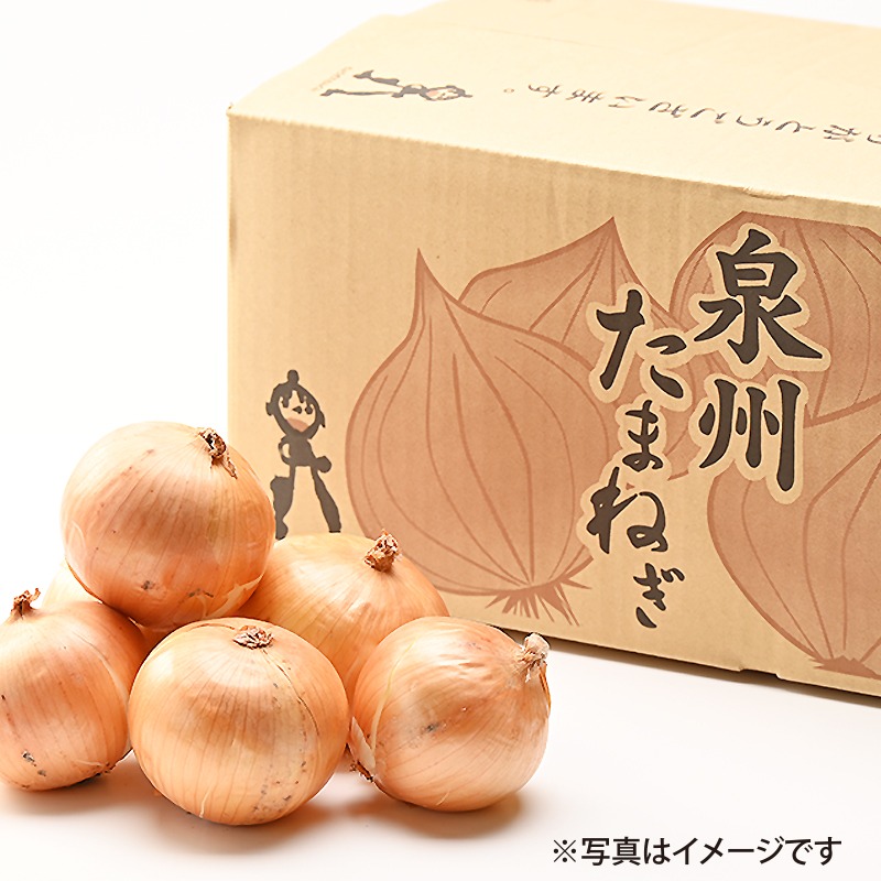 大阪府泉佐野市 射手矢さんちの泉州たまねぎ 10kg 5,000円