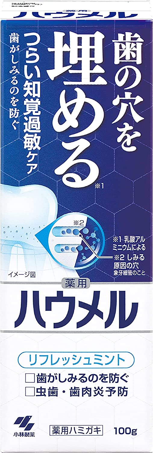小林製薬 ハウメル 歯の穴を埋める 薬用ハミガキ 医薬部外品