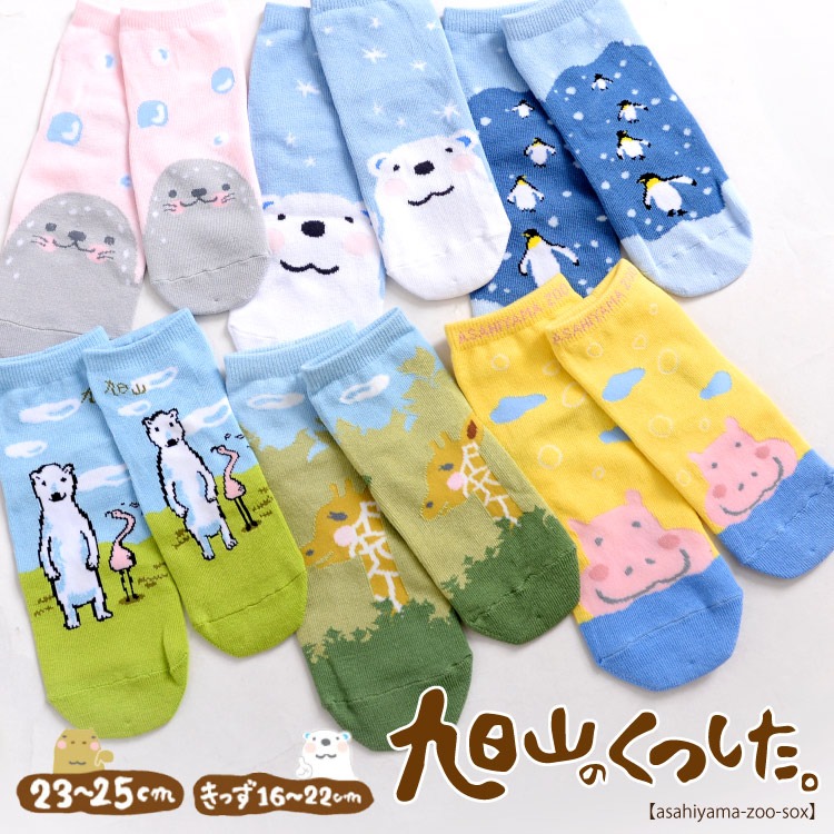 旭山動物園クラブ 旭山のくつした おとな用