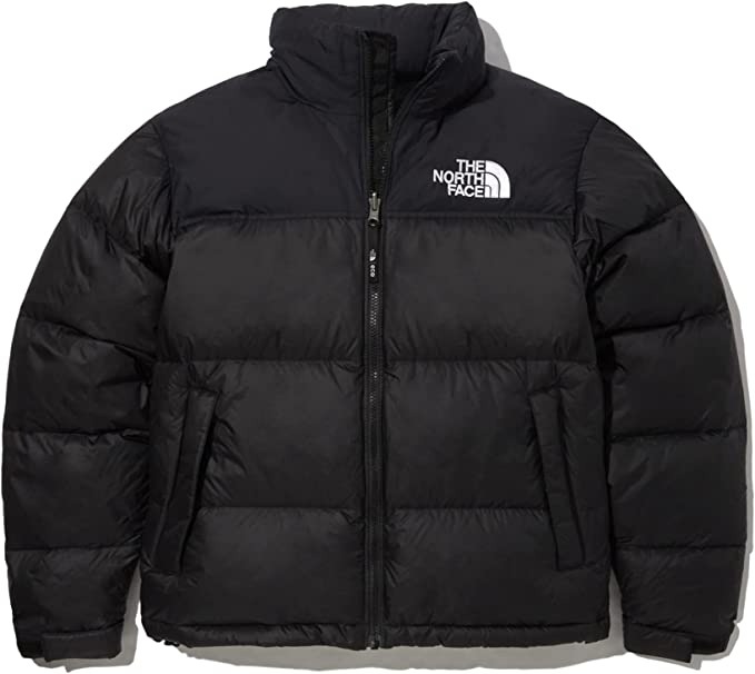 ザ・ノース・フェイス(THE NORTH FACE) 1996 エコ ヌプシダウンジャケット