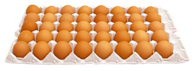 サン・ファーム ふるさと地たまご