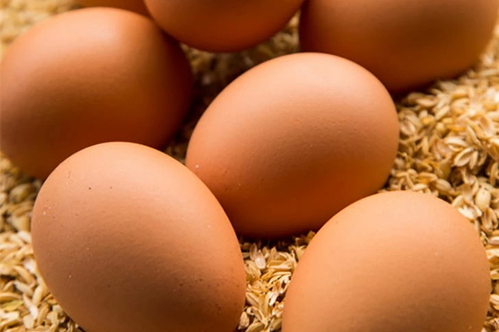 野上養鶏場 味宝卵