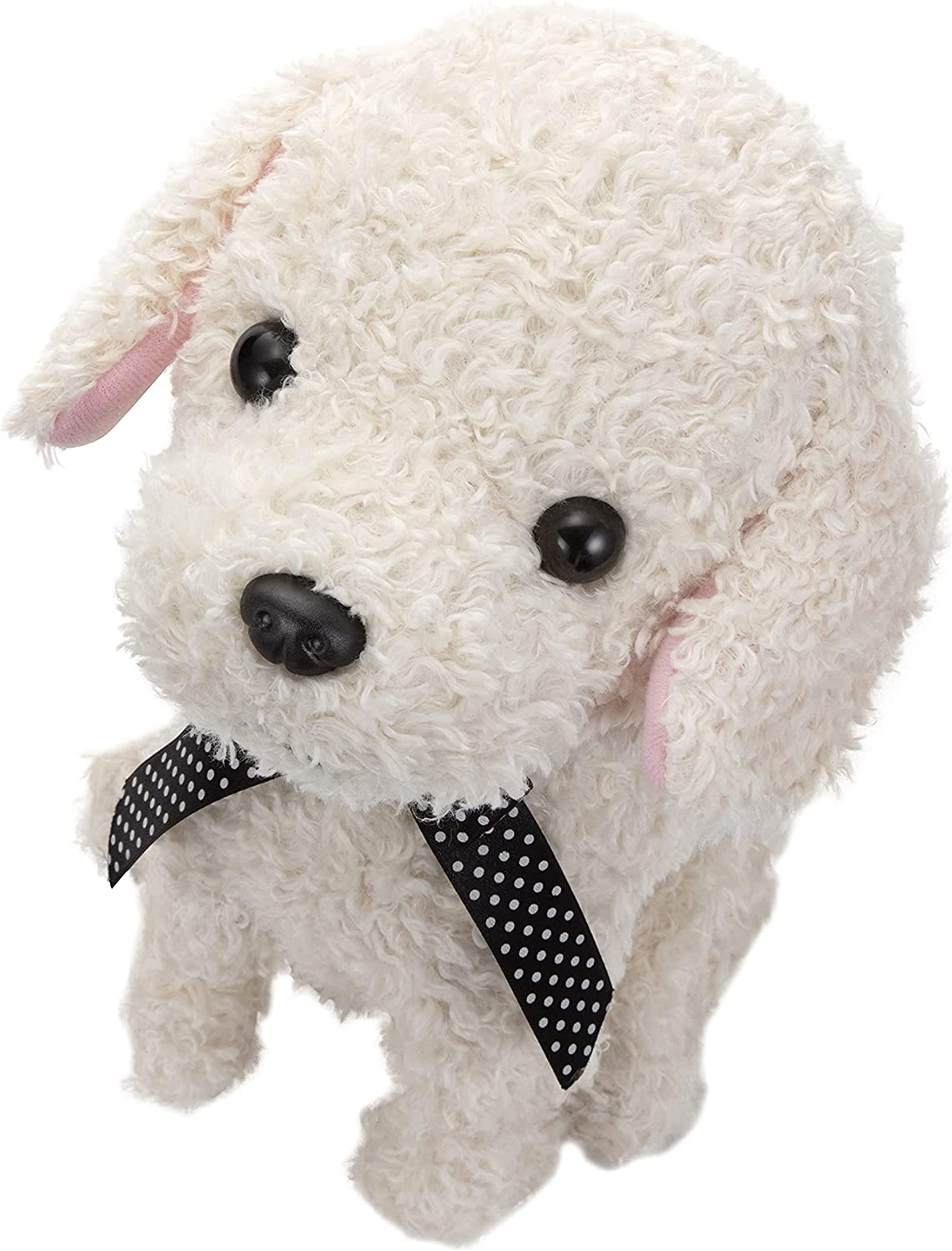 セガトイズ ココさかだちして