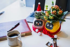 まるでペット！植物とふれあえるスマートプランター「スマートプランター Ivy」