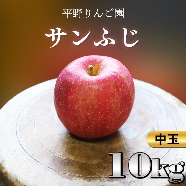 秋田県鹿角市 りんご サンふじ 中玉 10kg 12,000円