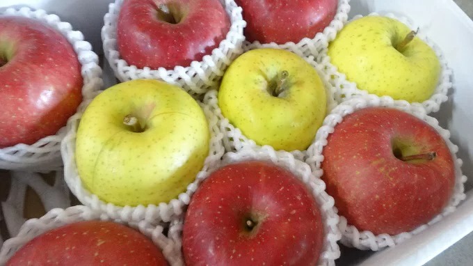 山形県大江町 初夏りんご 特選サンふじ＆星の金貨 約3kg 10,000円