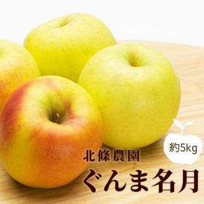長野県松川村 北條農園のぐんま名月 5kg 10,000円