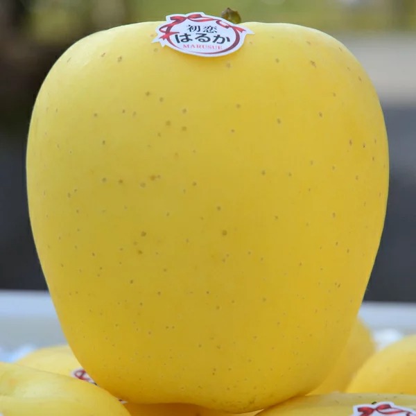 青森県三戸町 高級りんご はるか 蜜センサー選別品 約3kg 20,000円