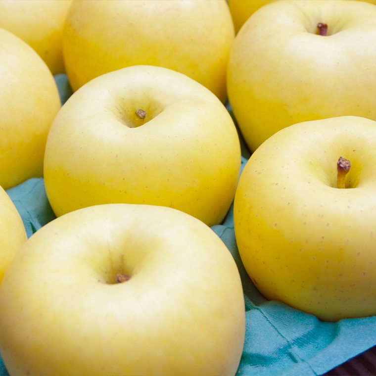 秋田県鹿角市 りんご 秋田紅あかり＆はるか 各2.5kg 16,000円